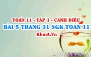 Bài 5 trang 31 SGK Toán 11 tập 1 Cánh Diều